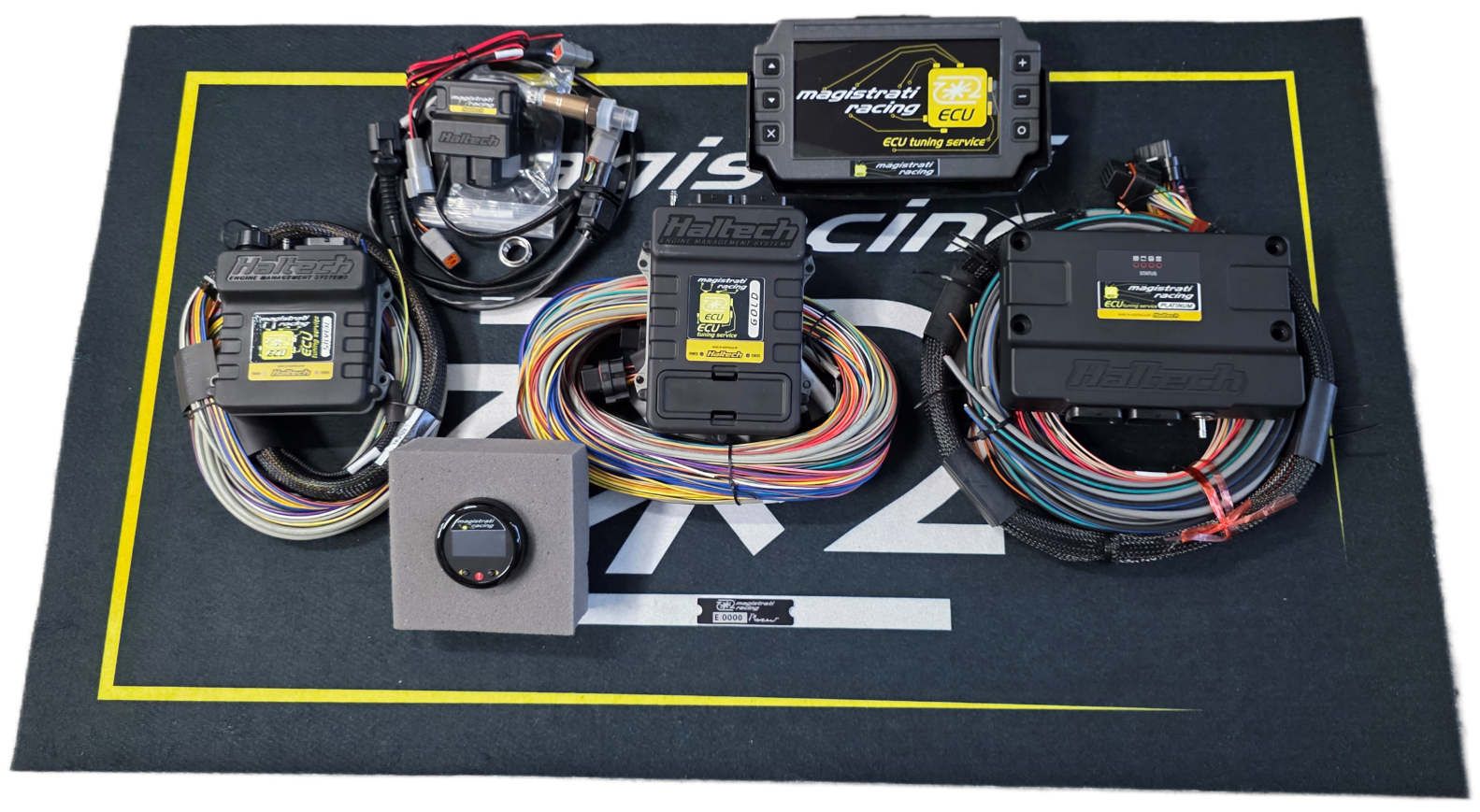 CARRELLATA ECU HALTECH BY MAGISTRATI RACING